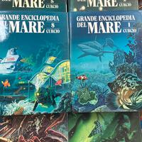 Grande enciclopedia del mare 8 vol. Curcio