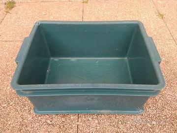 Contenitore in Plastica con Maniglie Laterali