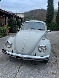 Maggiolino volkswagen