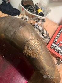 pancia scalvini per am6