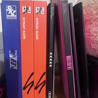 album stray kids