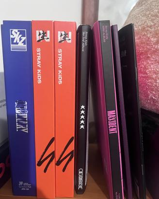 album stray kids