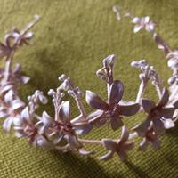 Accessorio capelli..