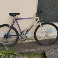 bici arrampichino Cicli MICHELIN anni 90