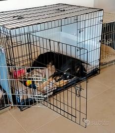kennel per taglia grande 120x75x80 circa