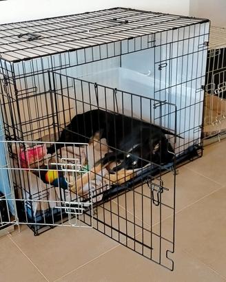 kennel per taglia grande 120x75x80 circa