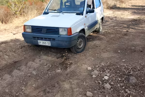 panda 899