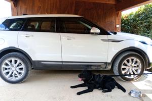 Range Rover Evoque 2018