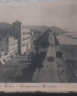 cartoline 