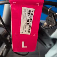 bicicletta elettrica 