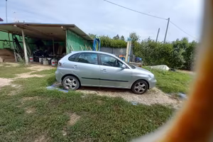 Seat Ibiza Anno 2008