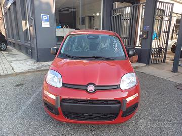 Fiat Panda Pandina 1.0 FireFly 65 CV Hybrid Icon