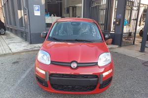 Fiat Panda Pandina 1.0 FireFly 65 CV Hybrid Icon