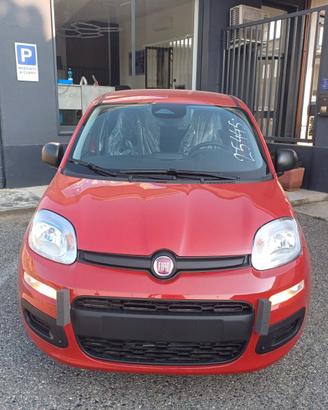 Fiat Panda Pandina 1.0 FireFly 65 CV Hybrid Icon