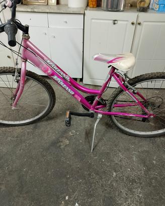 bici da passeggio 