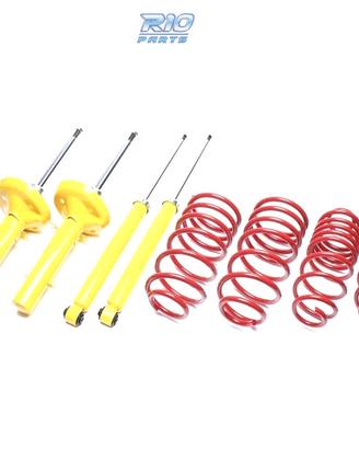SOSPENSIONE SPORTIVA BMW SERIE 5 E34 530i-540i 01 