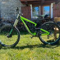 Bici da downhill