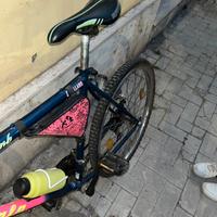 Bicicletta