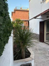 Appartamento AGOSTO