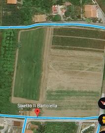 Terreno Florovivaistico