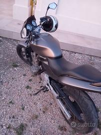 Hornet 600