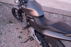 Hornet 600