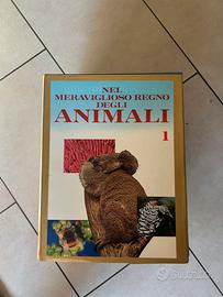 Nel meraviglioso regno degli ANIMALI enciclopedia