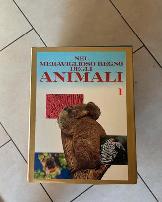 Nel meraviglioso regno degli ANIMALI enciclopedia