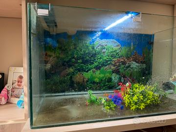 Aquario in vetro 90x40x50 completo di pompa e led