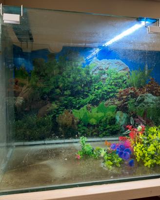 Aquario in vetro 90x40x50 completo di pompa e led