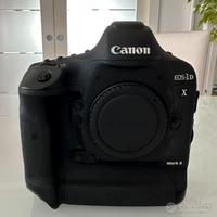 Canon 1DX Mark II 16.441 scatti