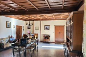 Vendita appartamento