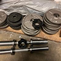 manubri lacertosus e dischi 2,5kg