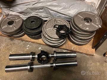 manubri lacertosus e dischi 2,5kg