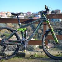 Trek Remedy 9 2015