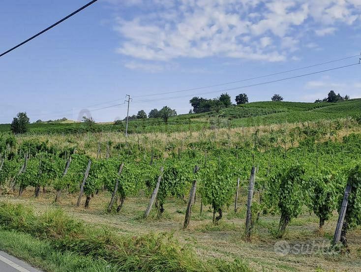 Immobile in asta di 121256 m² a Borgoratto Mormoro - Vista 2