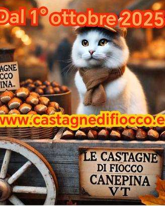PANDA 4X4 STORICA DI 21 ANNI 