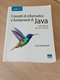 Libro Concetti di informatica e fondamenti di Java