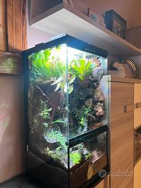 TERRARIO