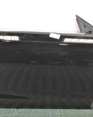 BMW serie 2 F21 F23 Porta anteriore destra