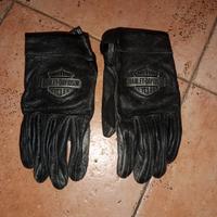 Guanti Harley Davidson 