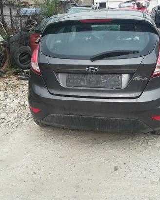 Motore Ford Fiesta - xyja