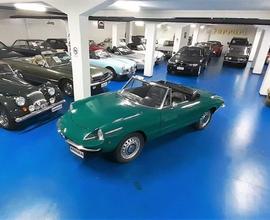 ALFA ROMEO Spider OSSO DI SEPPIA 1.300*ITALIANA