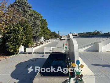 CAPANNONE CON ATTIVITA'