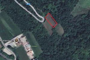 Terreno agricolo, vigneto