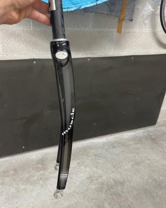 Forcella in carbonio columbus