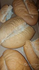 Pane secco