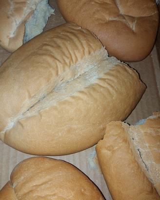 Pane secco