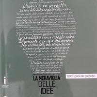 Meraviglia delle idee - VOL 3
