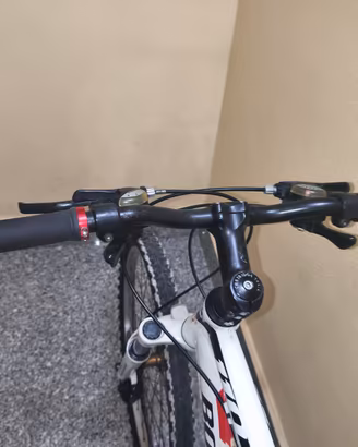 Bici bottecchia